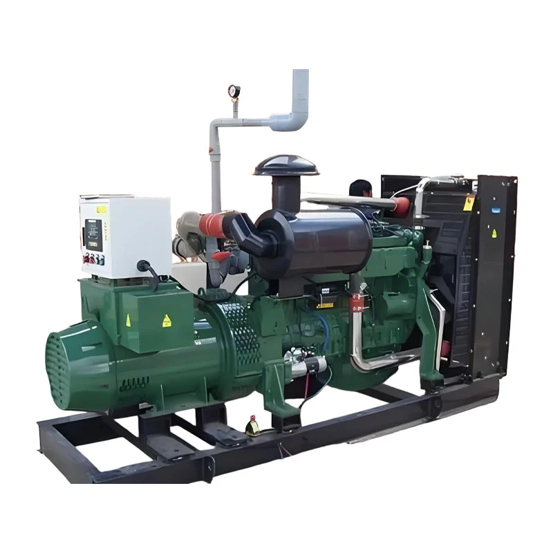 Generador de biogás de 1000kW